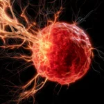 breakthrough-at-ou-reveals-how-aggressive-breast-cancer-hijacks-immune-system-to-fuel-growth