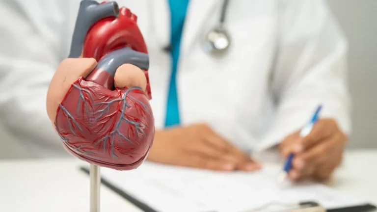 breakthrough-in-cardiac-care-vesalios-envast-clot-retriever-shows-significant-promise-in-nature-clinical-trial