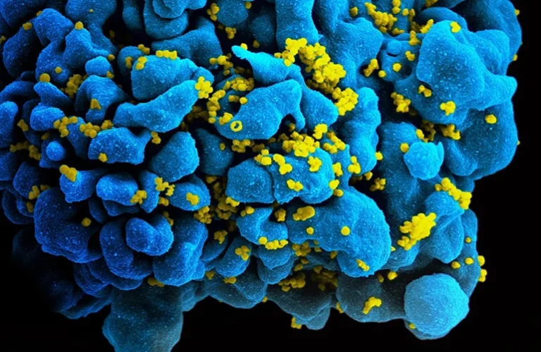 bridging-the-gap-fda-expands-tivicay-pd-approval-to-protect-the-most-vulnerable-newborns