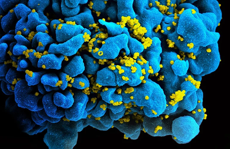 bridging-the-gap-fda-expands-tivicay-pd-approval-to-protect-the-most-vulnerable-newborns