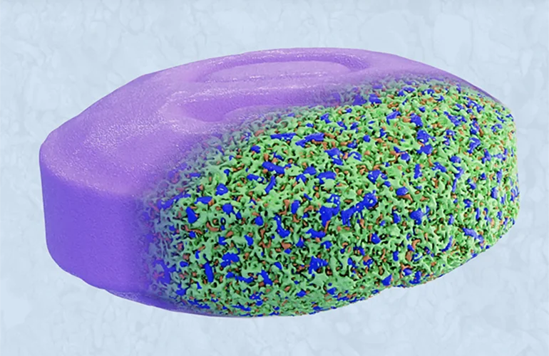 decoding-the-dose-how-microstructure-intelligence-is-revolutionizing-drug-development