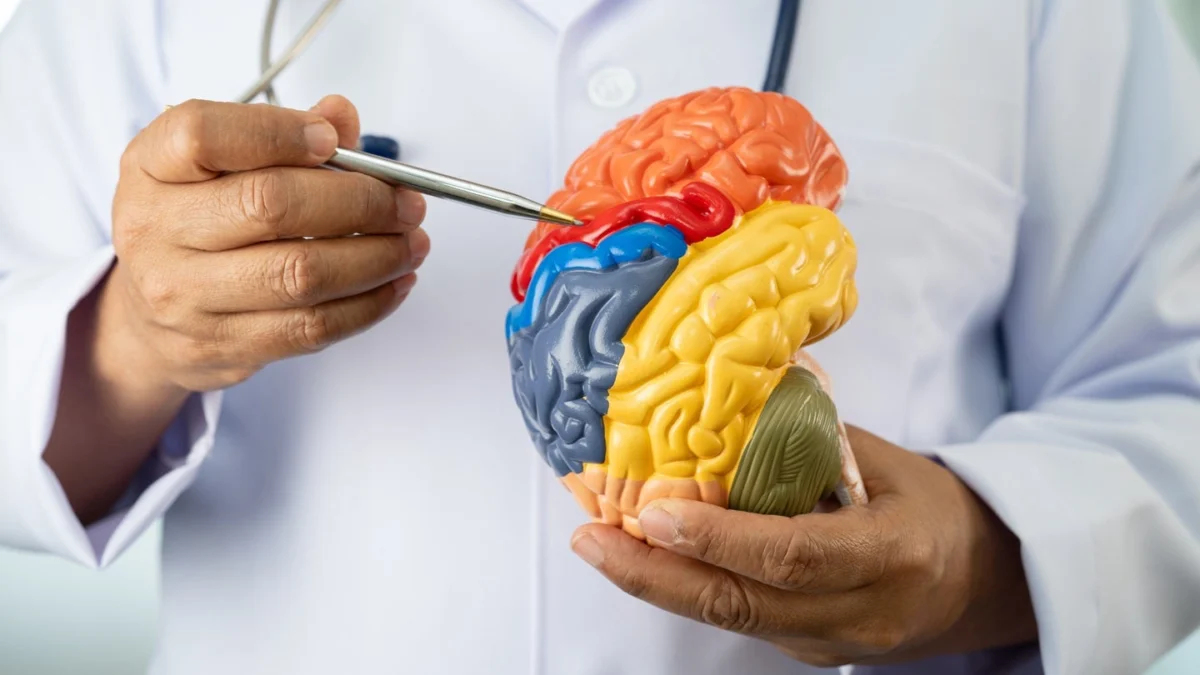 phenonet-secures-fda-green-light-for-pivotal-phase-iii-trial-of-novel-alzheimers-treatment-phenogene-1a