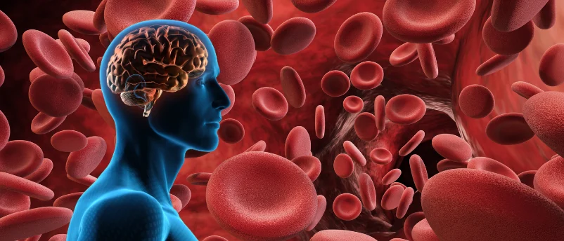 precision-oncology-breakthrough-innovative-tumor-on-a-chip-technology-decodes-glioblastoma-treatment-variability