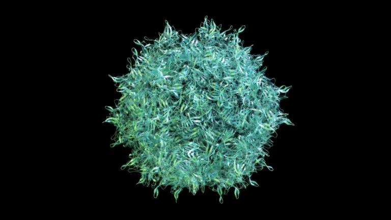 ptc-therapeutics-strategic-bet-the-acquisition-of-sangamos-gene-therapy-asset-amidst-bankruptcy