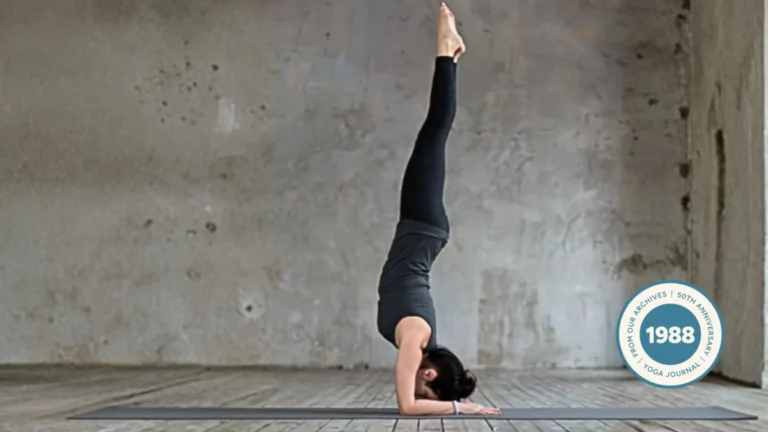 the-art-of-equilibrium-unpacking-the-philosophy-and-mechanics-of-pincha-mayurasana