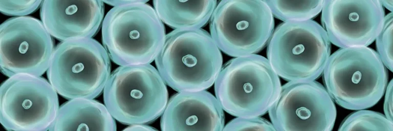 the-frontiers-of-genetic-medicine-decoding-the-in-vivo-vs-ex-vivo-divide