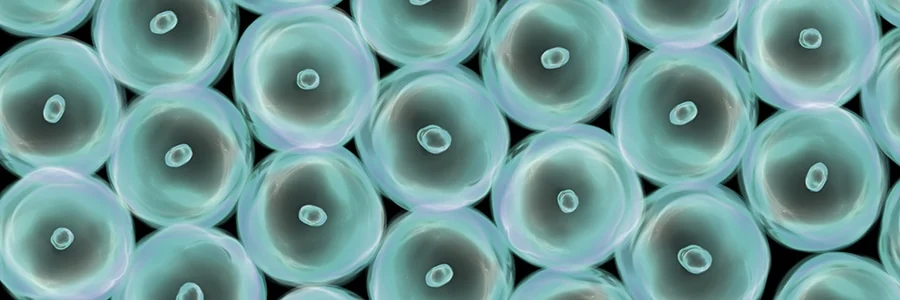 the-genetic-frontier-decoding-the-mechanisms-and-future-of-in-vivo-and-ex-vivo-gene-therapies
