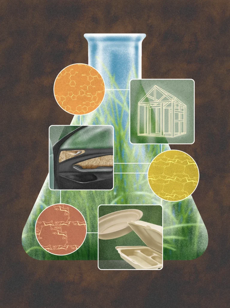 the-green-revolution-beneath-our-feet-how-perennial-grasses-are-replacing-petroleum
