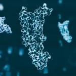 the-high-stakes-duel-novo-nordisk-and-eli-lilly-navigate-a-volatile-obesity-drug-market