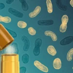 the-invisible-frontline-precision-wound-care-and-the-science-of-microbial-identification