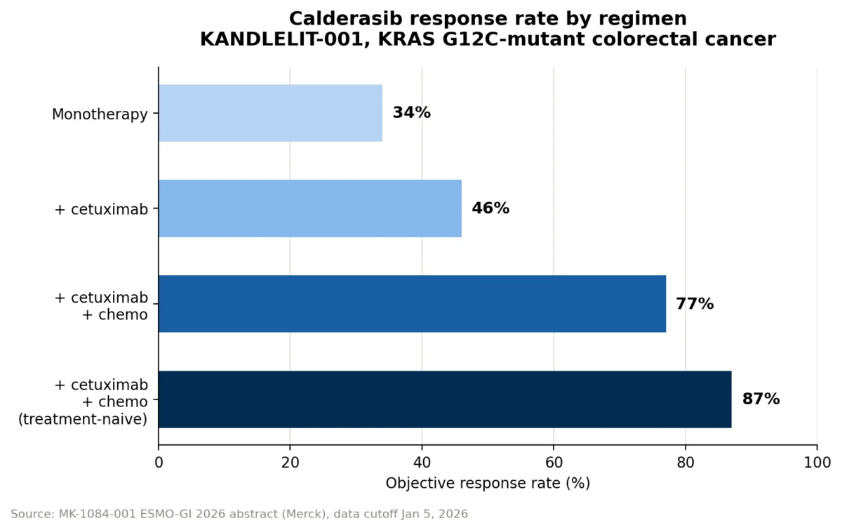 the-next-frontier-in-precision-oncology-why-mercks-calderasib-is-redefining-kras-inhibition