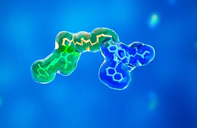 the-oral-frontier-overcoming-the-bioavailability-hurdle-in-protac-development