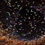 unveiling-the-hidden-architects-of-heart-disease-how-gut-microbes-shape-cardiovascular-health