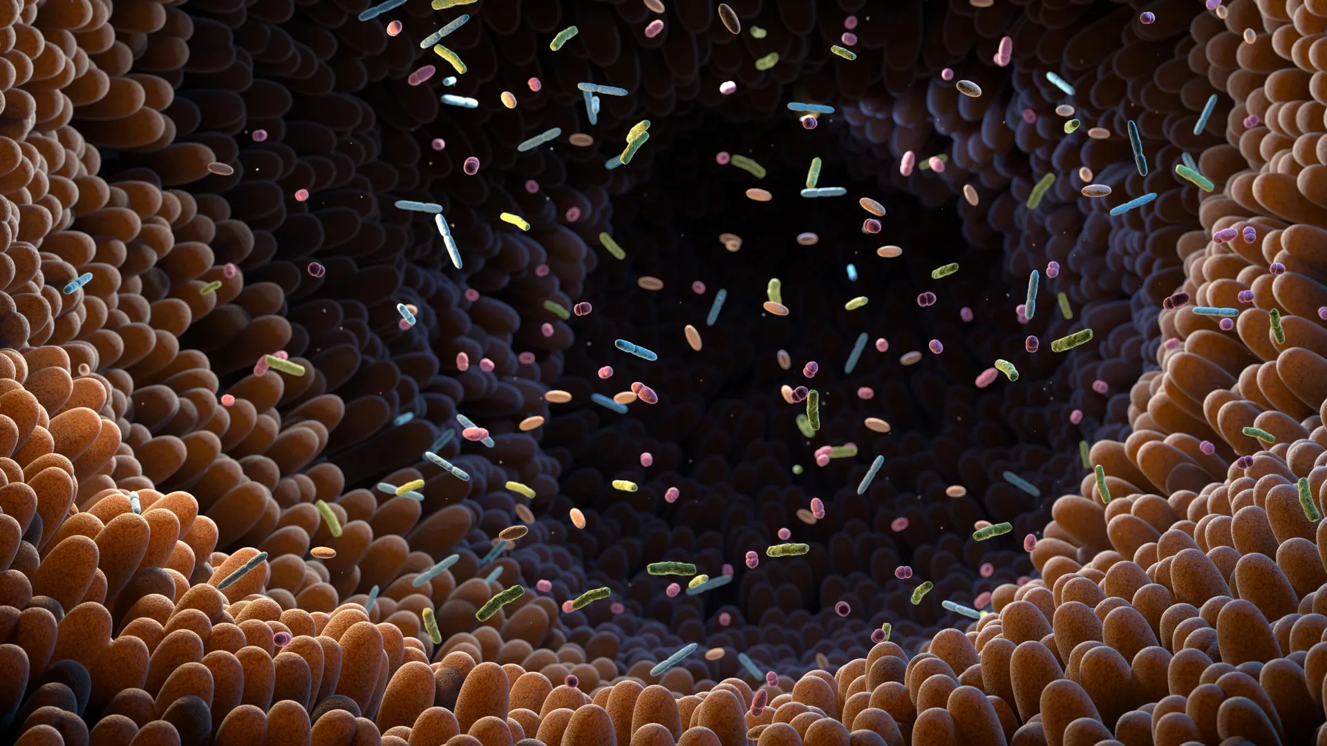 unveiling-the-hidden-architects-of-heart-disease-how-gut-microbes-shape-cardiovascular-health