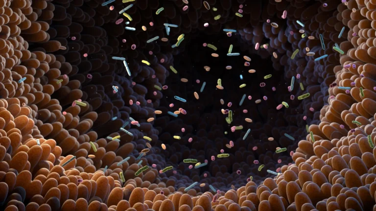 unveiling-the-hidden-architects-of-heart-disease-the-gut-microbiomes-profound-influence