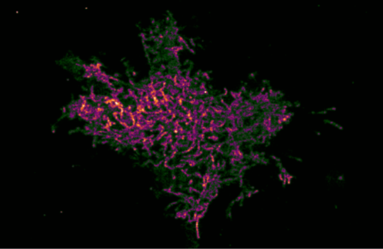 unveiling-the-invisible-new-imaging-breakthrough-finici-revolutionizes-enzyme-mapping