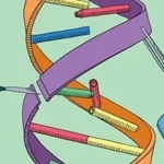 a-medical-milestone-the-nhs-rolls-out-crispr-based-gene-therapy-for-blood-disorders
