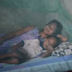 a-triumph-of-resilience-timor-leste-achieves-historic-malaria-free-status