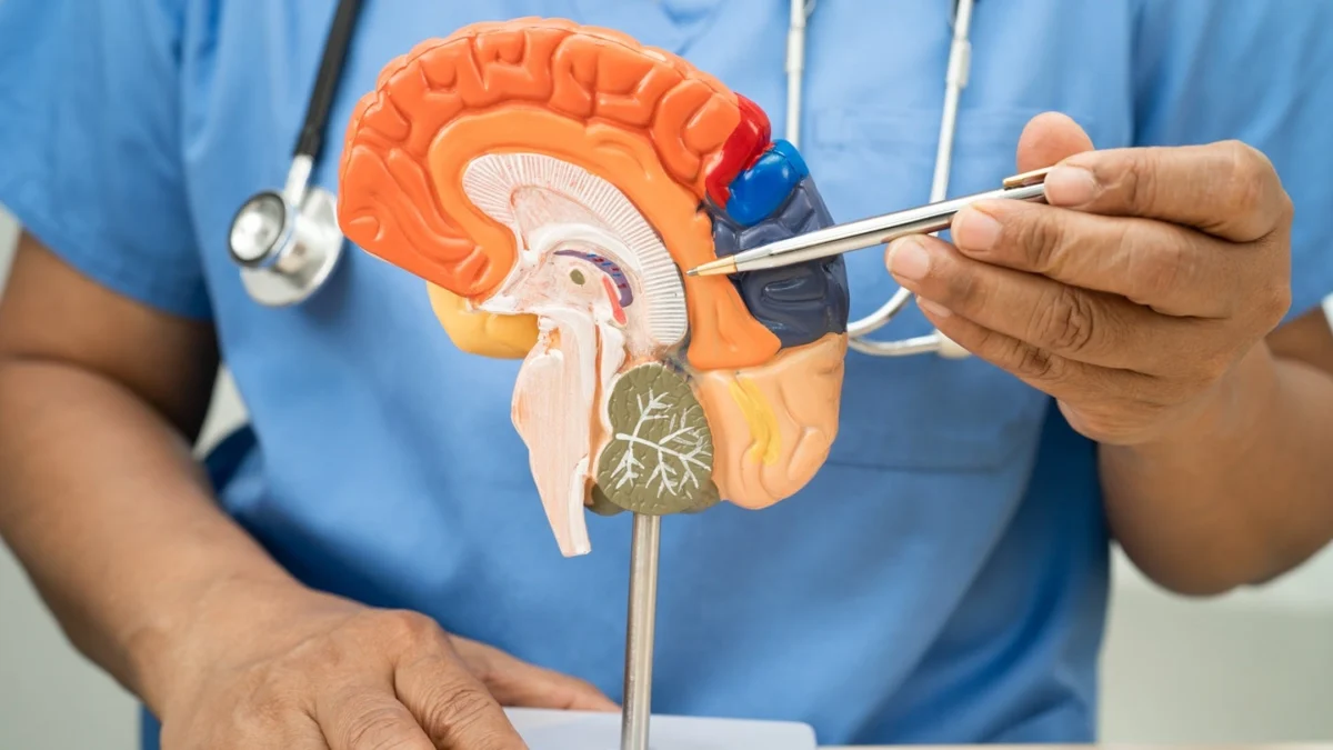 advancing-neurological-diagnostics-fujirebio-secures-health-canada-approval-for-groundbreaking-blood-based-assays