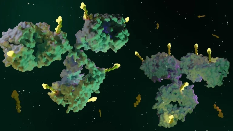 akesos-innovative-bispecific-antibody-drug-conjugate-ak158d1-enters-clinical-trials-targeting-co-expressed-solid-tumors