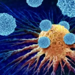 astrazeneca-bets-big-on-summit-therapeutics-a-strategic-pivot-in-the-oncology-arms-race