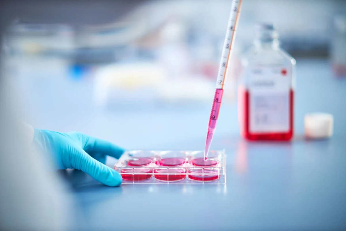 bridging-the-stromal-gap-advancing-tumor-microenvironment-modeling-via-synthetic-caf-induction
