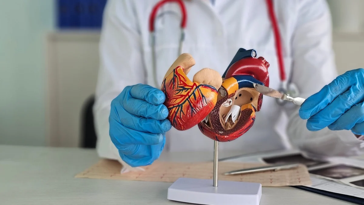 emboline-secures-fda-clearance-for-innovative-emboliner-system-a-new-standard-in-tavr-protection