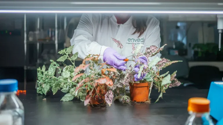 enveda-biosciences-secures-311m-series-e-a-new-frontier-in-ai-driven-natural-product-discovery