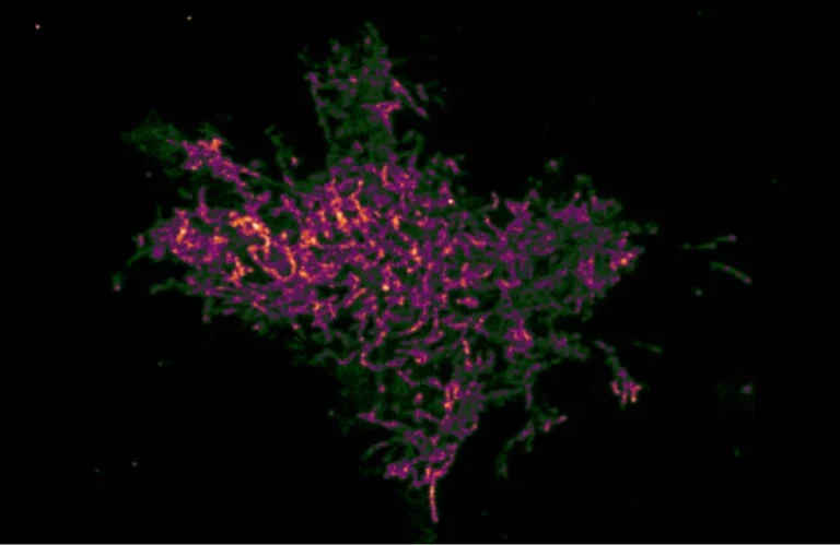illuminating-the-invisible-how-finici-is-revolutionizing-subcellular-imaging-and-drug-discovery