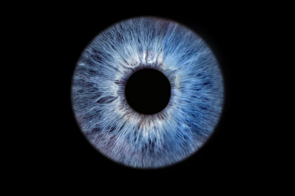 kodiak-sciences-poised-to-disrupt-wet-amd-market-with-promising-zenkuda-data-stock-surges