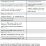 looming-healthcare-crisis-impact-of-the-2025-reconciliation-law-on-immigrant-coverage