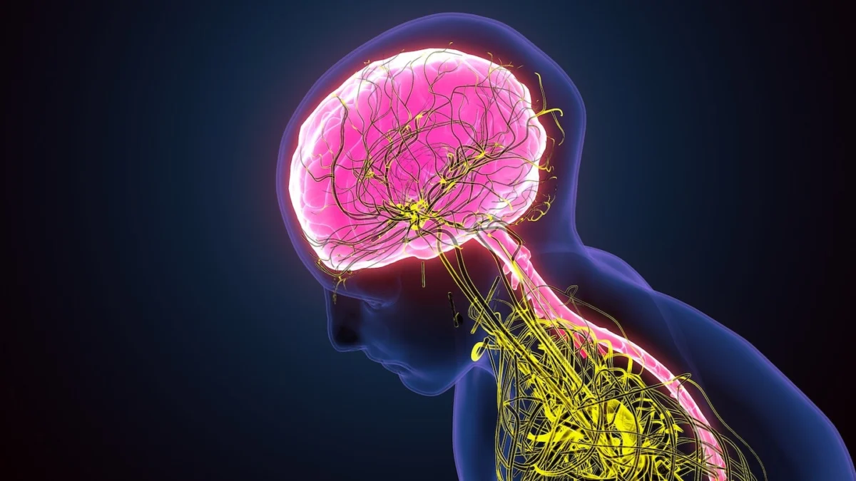 navigating-the-nascent-landscape-cns-trial-activity-on-the-cusp-of-a-late-stage-breakthrough