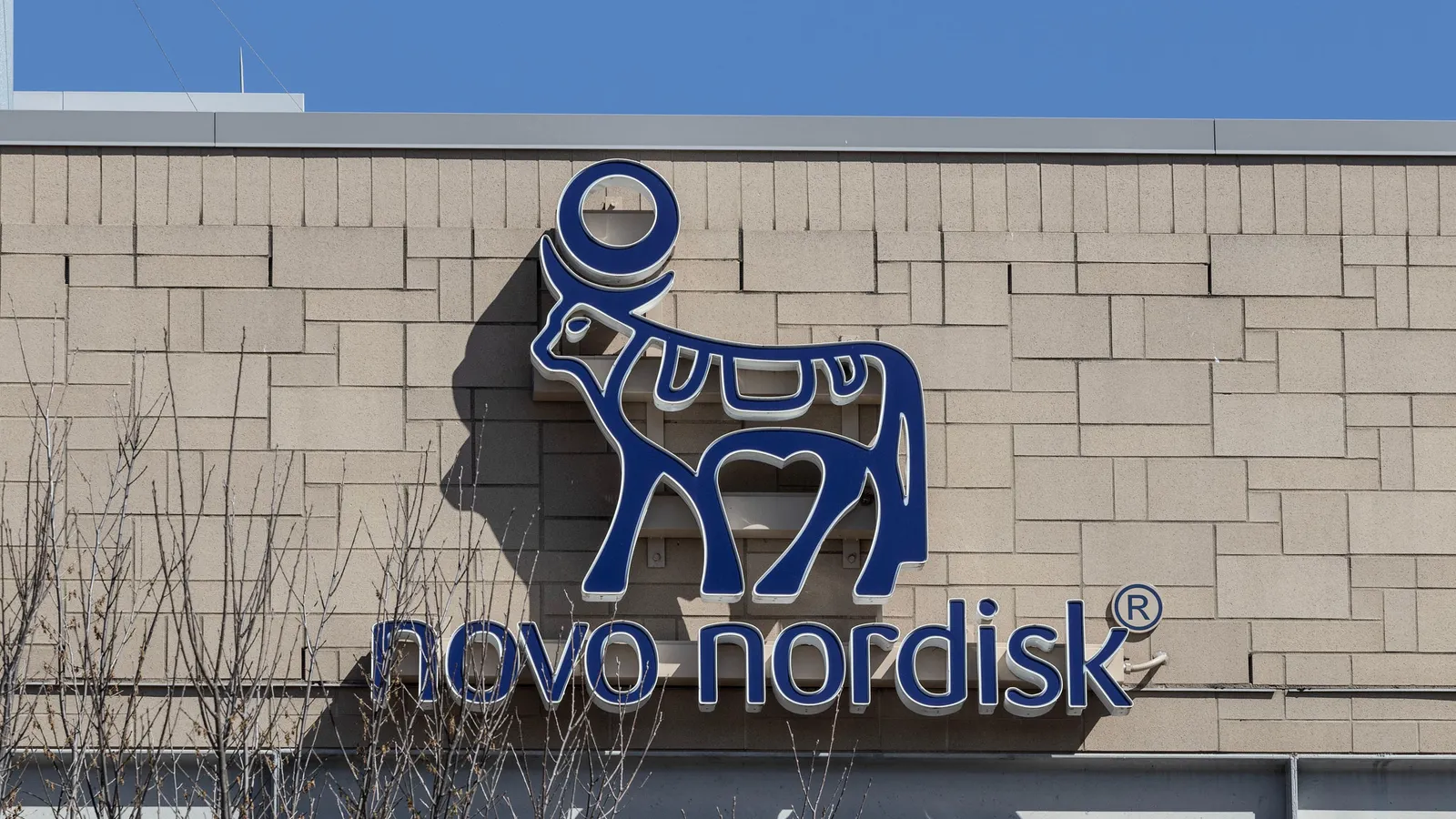 novos-strategic-pivot-a-1-4-billion-bet-on-oral-macrocycles-to-reclaim-obesity-market-leadership
