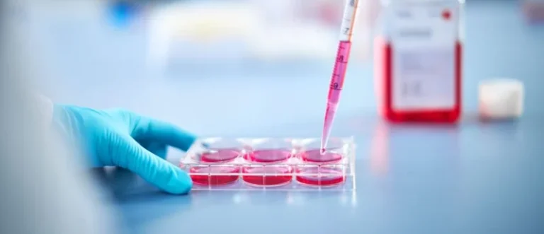 revolutionizing-the-tumor-microenvironment-a-new-paradigm-for-synthetic-cancer-associated-fibroblast-modeling