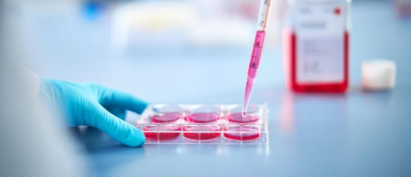 revolutionizing-the-tumor-microenvironment-a-new-paradigm-for-synthetic-cancer-associated-fibroblast-modeling