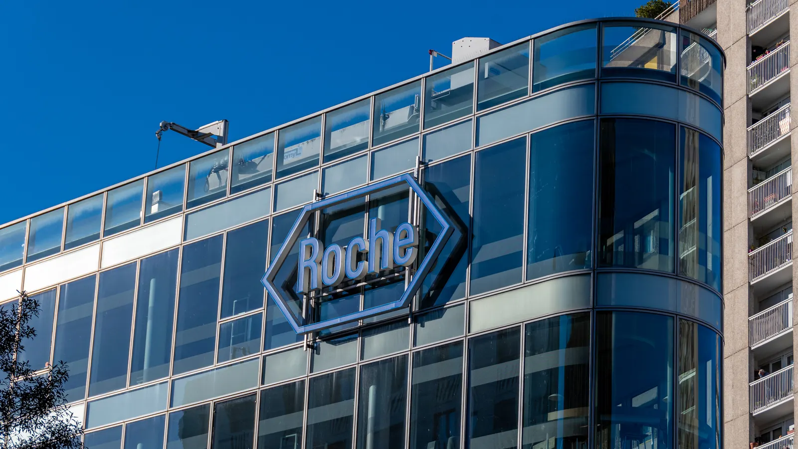 roche-bets-1-billion-on-dualitas-to-revolutionize-bispecific-antibody-discovery
