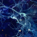 skyhawk-therapeutics-advances-rna-splicing-frontier-long-term-data-bolsters-case-for-sky-0515-in-huntingtons-disease