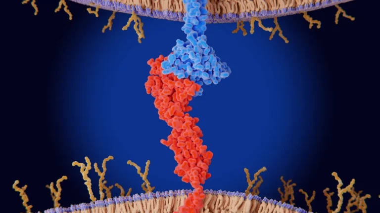 the-dawn-of-the-bispecific-era-ivonescimab-challenges-the-oncology-status-quo