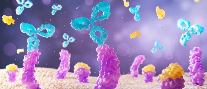 the-new-frontier-in-blood-cancer-expert-review-of-hematology-calls-for-research-on-targeted-therapies-and-adcs