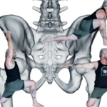 unlocking-mobility-a-10-minute-daily-protocol-for-hip-health-and-longevity
