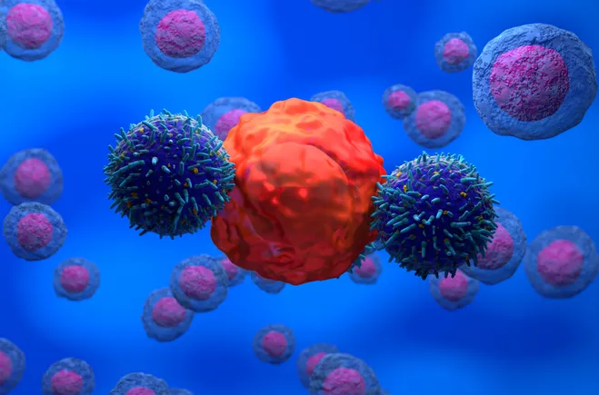 a-new-chapter-for-next-gen-oncology-armed-cell-therapeutics-acquires-lakefront-biotherapeutics-car-t-portfolio
