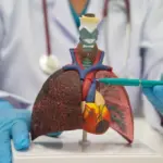 arrivents-promising-nsclc-candidate-falters-in-phase-iii-trial-stock-plummets-amidst-competitive-landscape