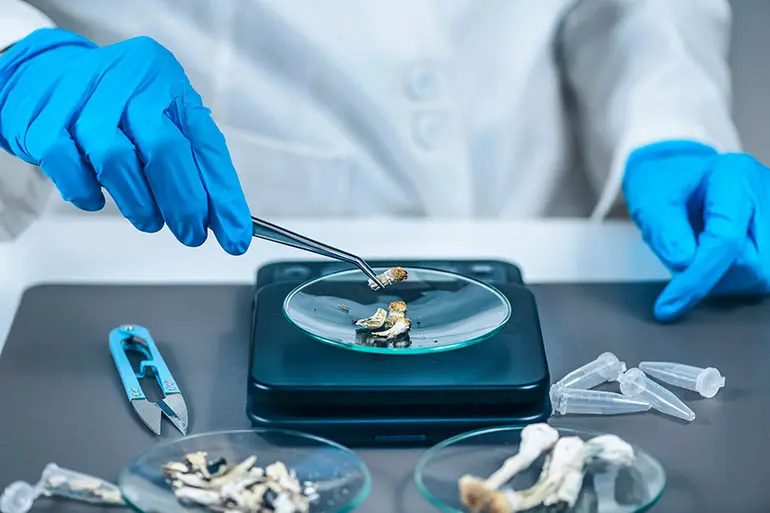 beyond-psychedelics-could-psilocybin-be-the-key-to-preventing-chemotherapy-induced-nerve-damage