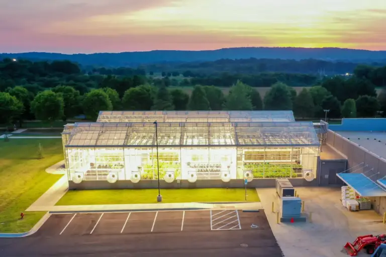 cultivating-the-future-hudsonalpha-and-honda-partner-to-redefine-agricultural-resilience-1
