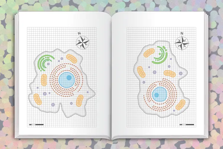 decoding-the-genomes-hidden-switches-a-new-frontier-in-precision-medicine