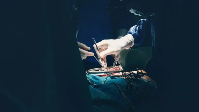 emboline-marks-new-era-in-structural-heart-safety-first-us-commercial-use-of-emboliner-embolic-protection-system