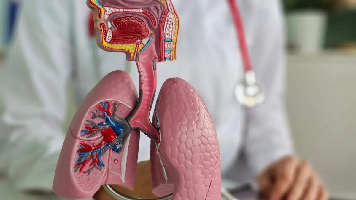 esmo26-sac-tmts-optitrop-lung04-survival-gain-holds-putting-the-onus-on-msd