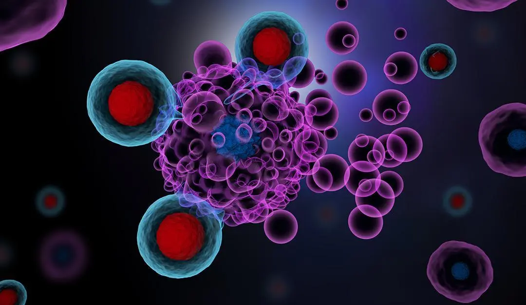 T cells attacking cancer cells