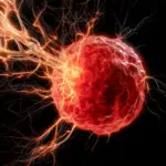 groundbreaking-oklahoma-research-unveils-how-aggressive-breast-cancer-hijacks-immune-system-to-fuel-growth-and-resistance