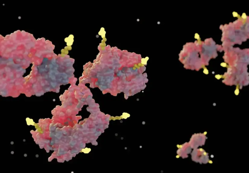 macrogenics-initiates-phase-i-clinical-trial-for-novel-antibody-drug-conjugate-mgc030-in-advanced-solid-tumors